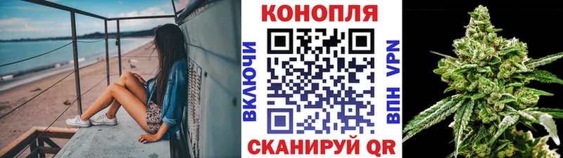 Все наркотики Дмитров КОКАИН Каннабис МЕФ Псилоцибиновые грибы ГАШ