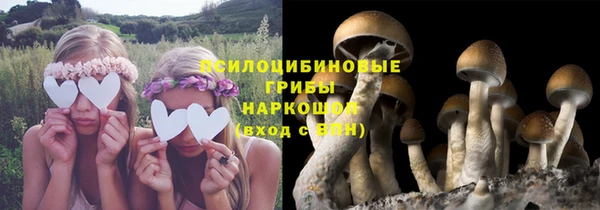 гидра Верея
