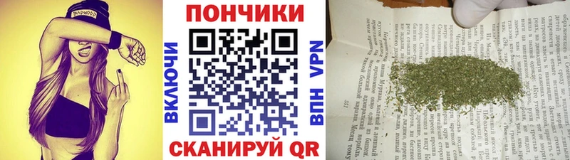 наркотики  Дмитров  omg tor  Конопля OG Kush 